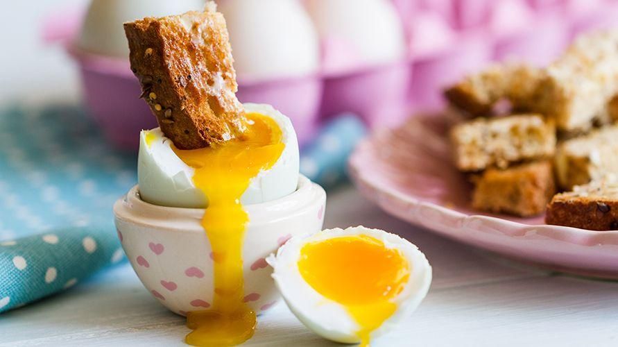 Nebezpečí konzumace syrových vajec je infekce salmonelou, jak se jí vyhnout?