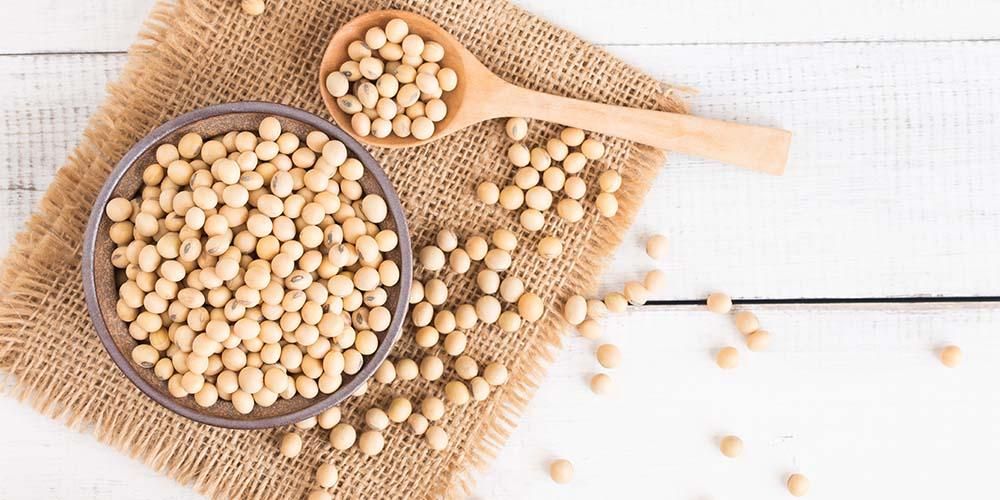 大豆的好处对您的健康有益，是什么？