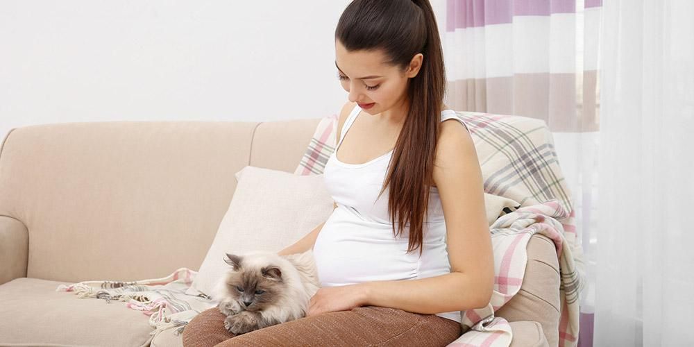 Vai grūtniecības laikā var turēt mājdzīvniekus? Tie ir ieguvumi un riski
