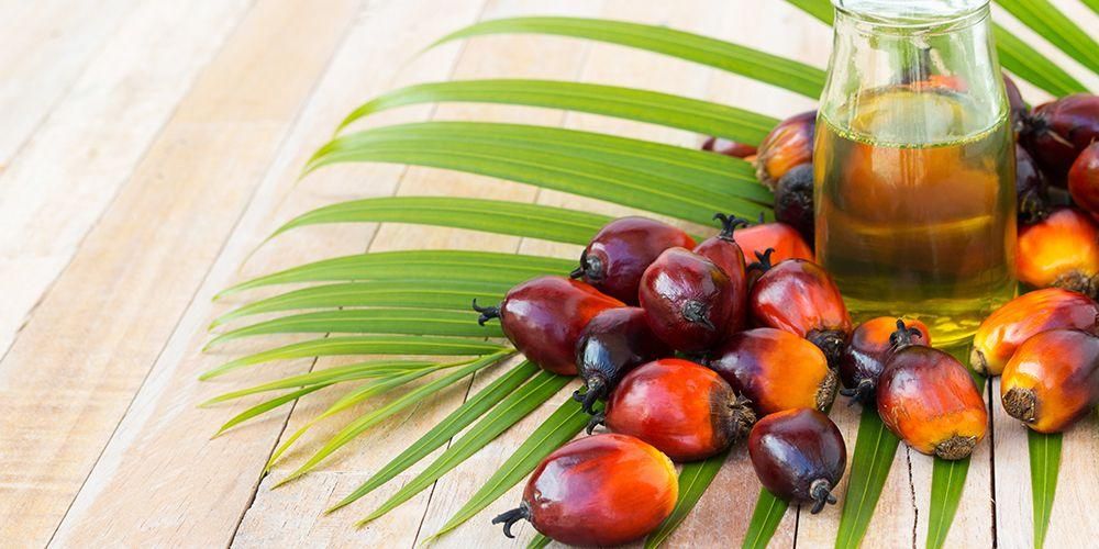 了解棕榈油对健康的好处和危害风险
