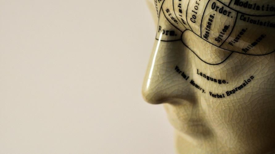 Spoznajte frenológiu, vedu o čítaní osobnosti človeka z tvaru jeho lebky