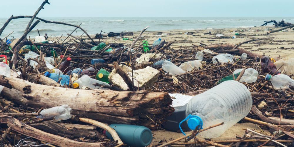 Plastikinių atliekų, kurios persekiojo aplinką ir sveikatą, poveikis
