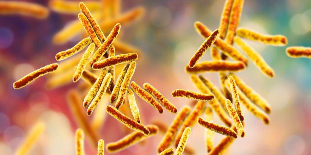 Seznámení s kožní tuberkulózou, vzácnou nemocí, jejíž příznaky jsou těžko rozpoznatelné