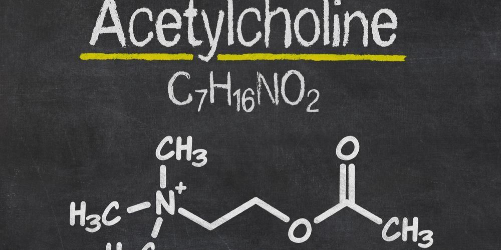 Acetylcholín bol prvý objavený neurotransmiter