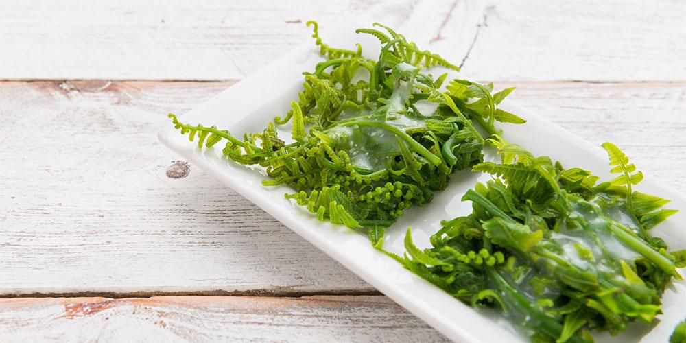 8 Beneficis de les verdures de falguera per a la salut