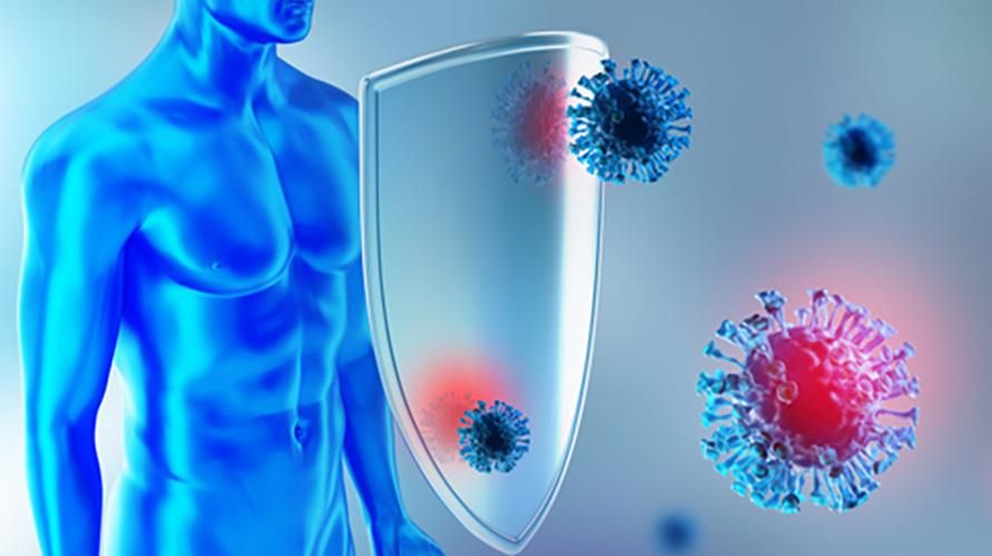免疫系统（免疫系统）的机制以及如何在大流行期间增加它