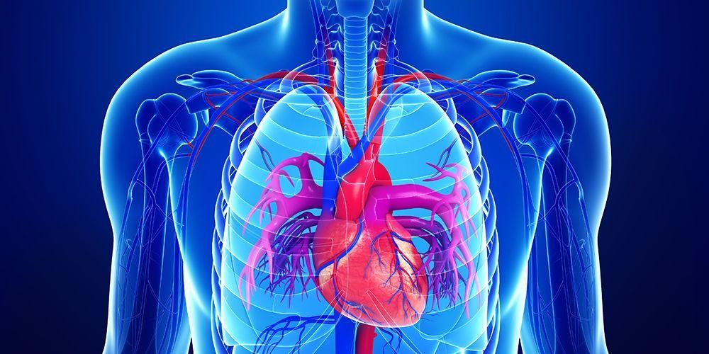 Dextrocardia, en sjelden lidelse når hjertet vender mot høyre