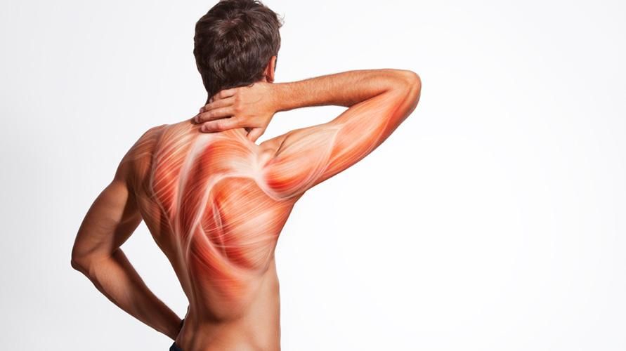 Trzanje mišic je lahko znak težav z živci, vedo, kako ravnati z njimi