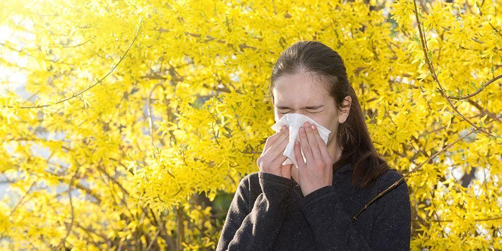 8 природних лекова против алергија за превазилажење досадних алергијских реакција