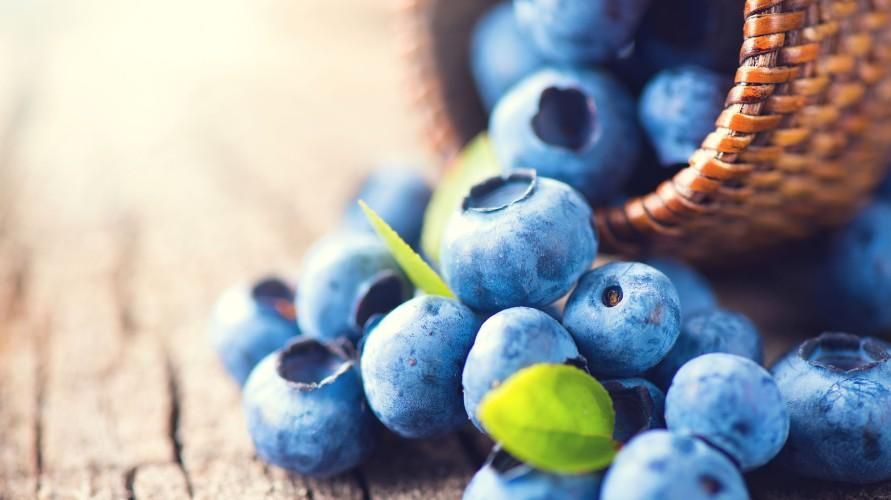 Raznolikost modrih sadežev z odličnimi hranili za telo