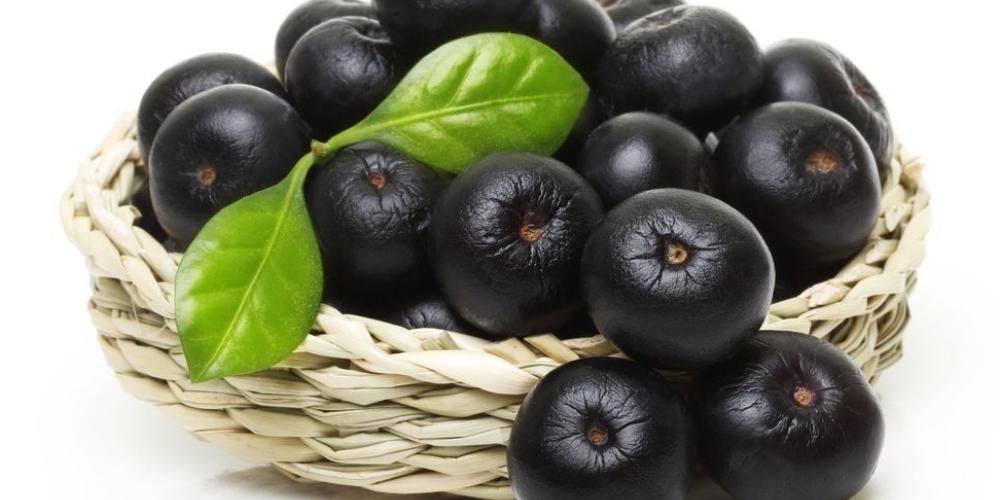 Acai 浆果这种南美本土水果有助于保持健康的好处