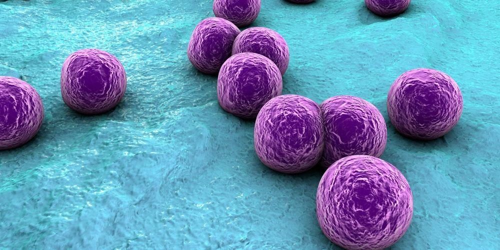 7 Nemocí způsobených infekcí Staphylococcus aureus, od mírných po smrtelné