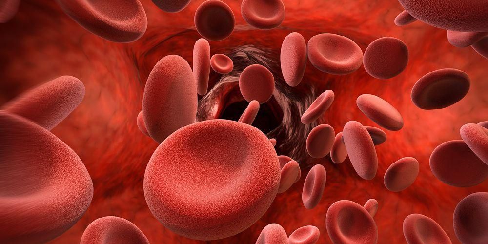 7 Τροφές που ενισχύουν τα αιμοπετάλια για άτομα με θρομβοπενία