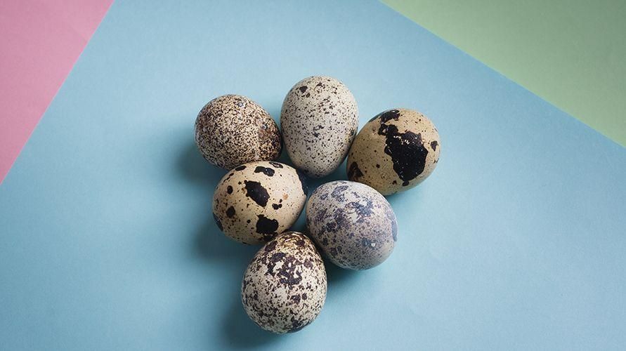 МПАСИ јаје препелице, знајте безброј предности за ваше малишане и сигурни савети за давање