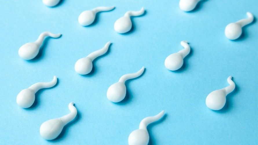 Azoospermija yra tuščios vyriškos spermos būklė, kurios reikia saugotis