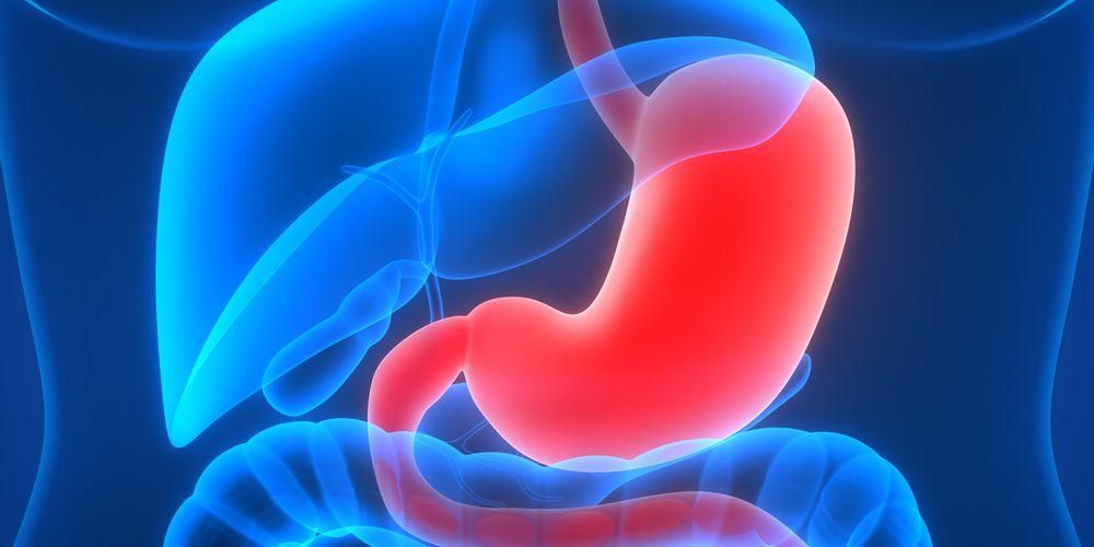 Разумевање функција ензима у стомаку и пратећих болести