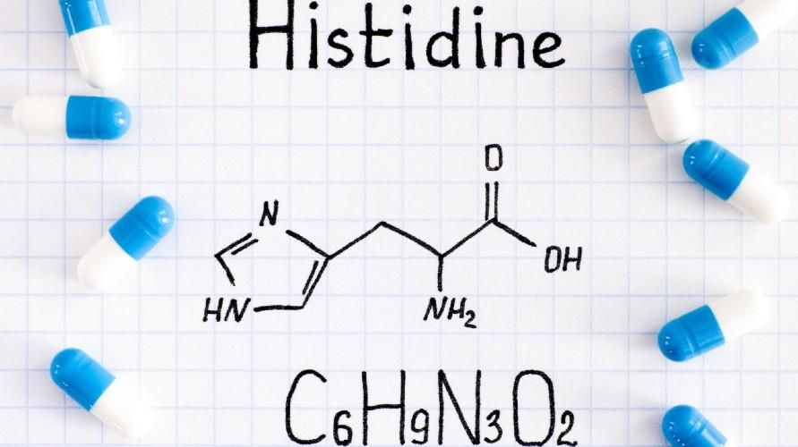 Poznajte aminokyselinu histidín a jej životne dôležité funkcie pre telo
