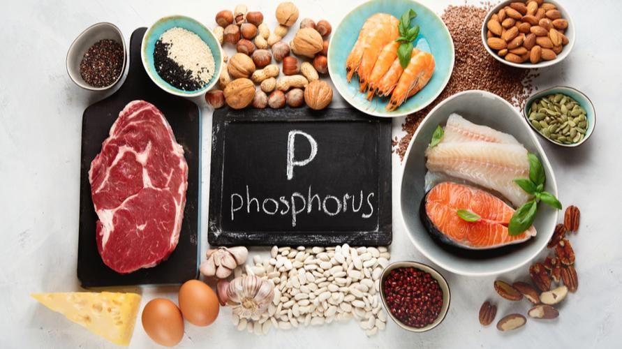 Seznam potravin obsahujících fosfor pro udržení funkce těla