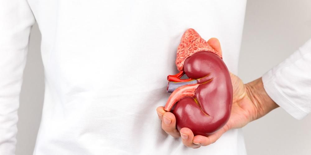 Děravé ledviny: Rozpoznejte příčiny, příznaky a léčbu
