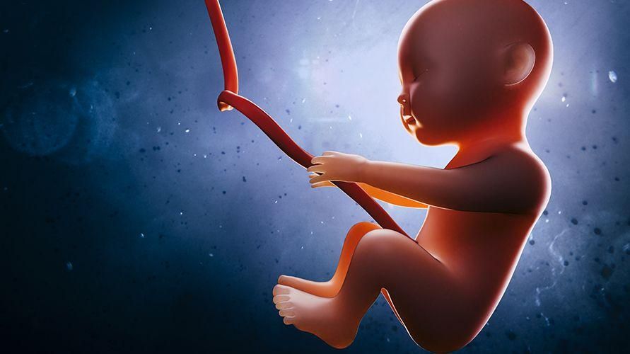 Το IUFD είναι ο θάνατος ενός εμβρύου στη μήτρα, Μάθετε περισσότερα