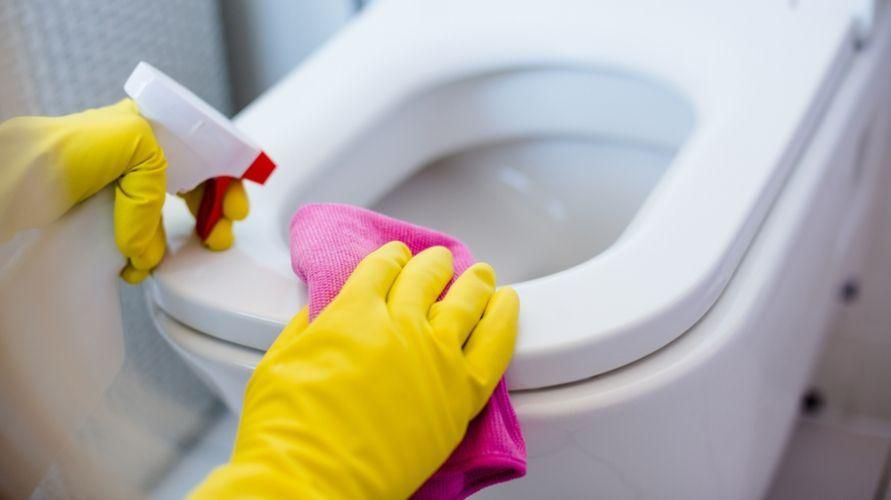 Como limpar bem o banheiro e os perigos se ele estiver sujo