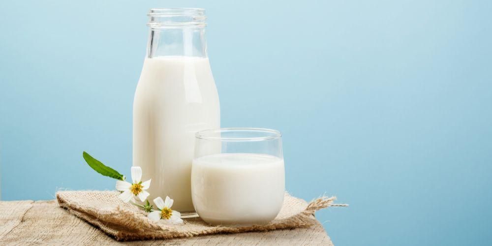 Er det sant at melkeprotein kan øke muskelmassen? Dette er forklaringen
