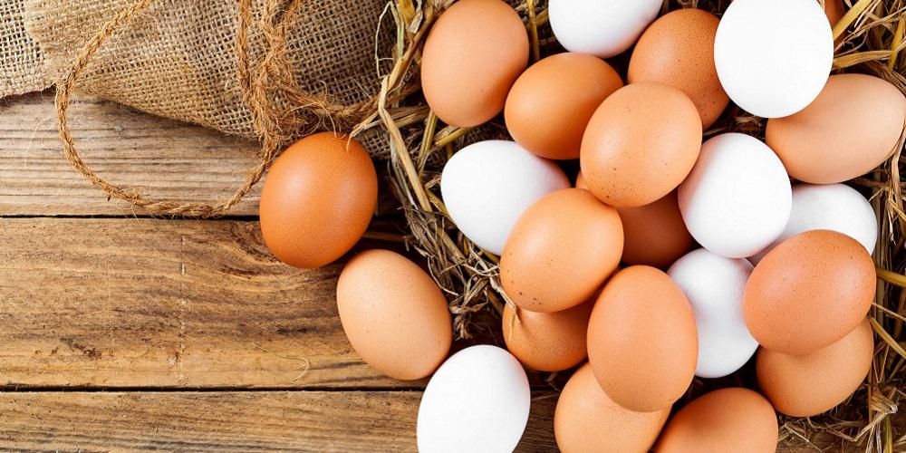 识别不应该出售但许多正在流通的不育鸡蛋