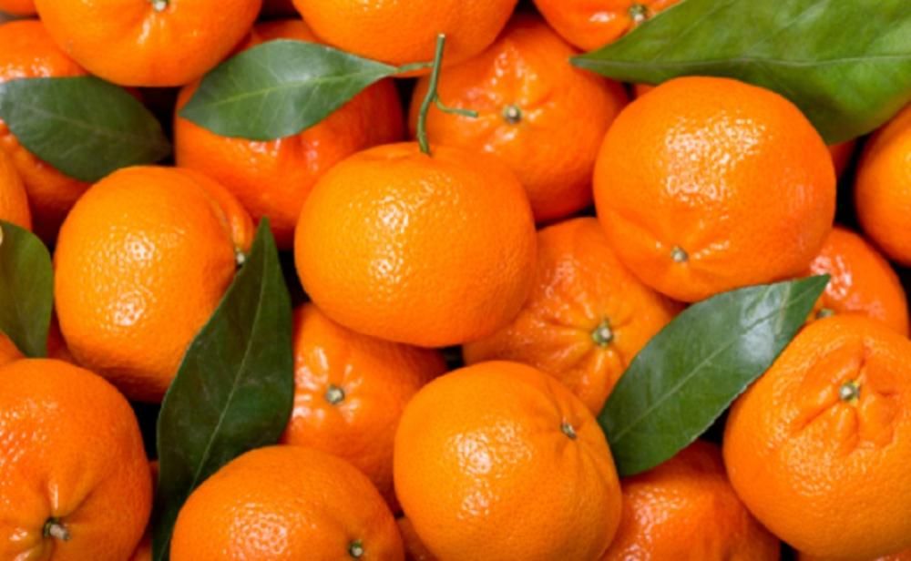 Ikke kun søde, fordelene ved mandariner for sundheden er også forskellige