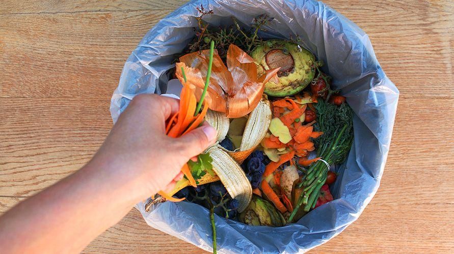 8 cách sáng tạo để chế biến thức ăn thừa mà không gây lãng phí cho TPA