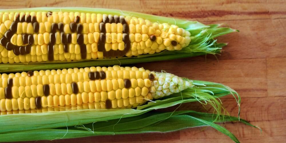 Sweet Corn to Watermelon, Ito ang mga Genetically Engineered na Pagkain sa Atin