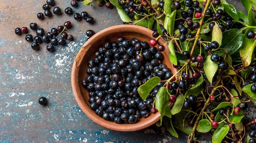 7 Maqui Berry privalumai, turintys daug antioksidantų