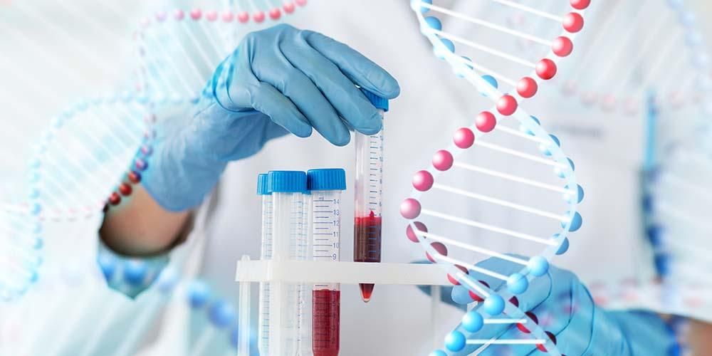 Chcete urobiť test DNA dieťaťa? Poznajte funkcie a postupy