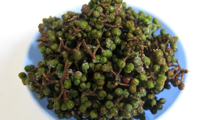 Andaliman, den populære Batak-peber bliver en urtemedicin