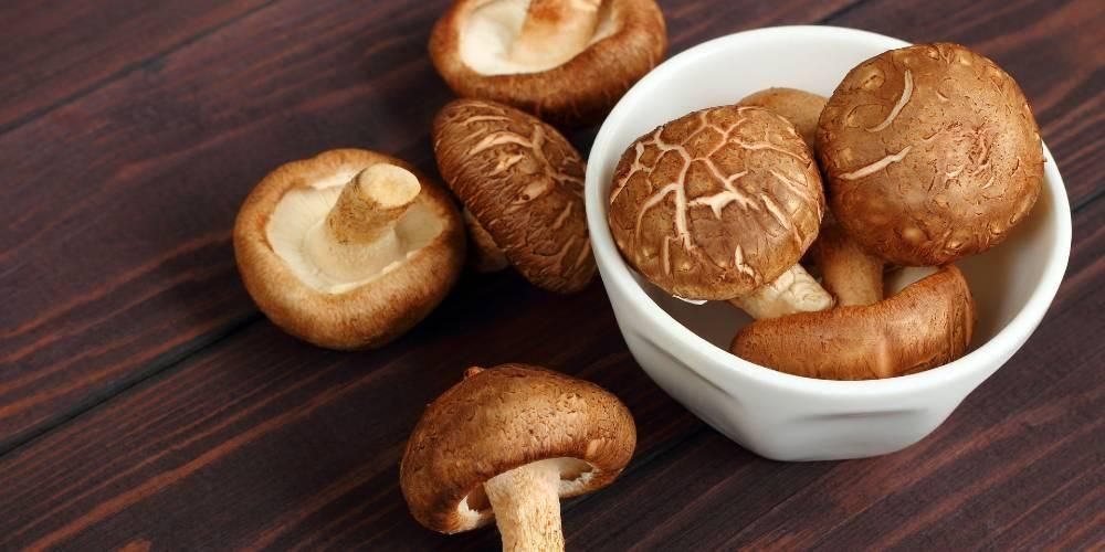 享受香菇对身体的各种好处，预防肥胖保持免疫力
