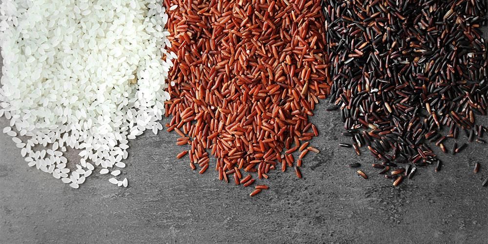 Spoznavanje različnih vrst riža, katero izbrati?