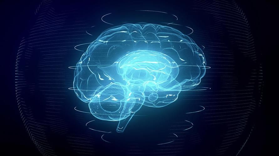 Κατανόηση της νευροπλαστικότητας και πώς ο εγκέφαλος αλλάζει δομικά