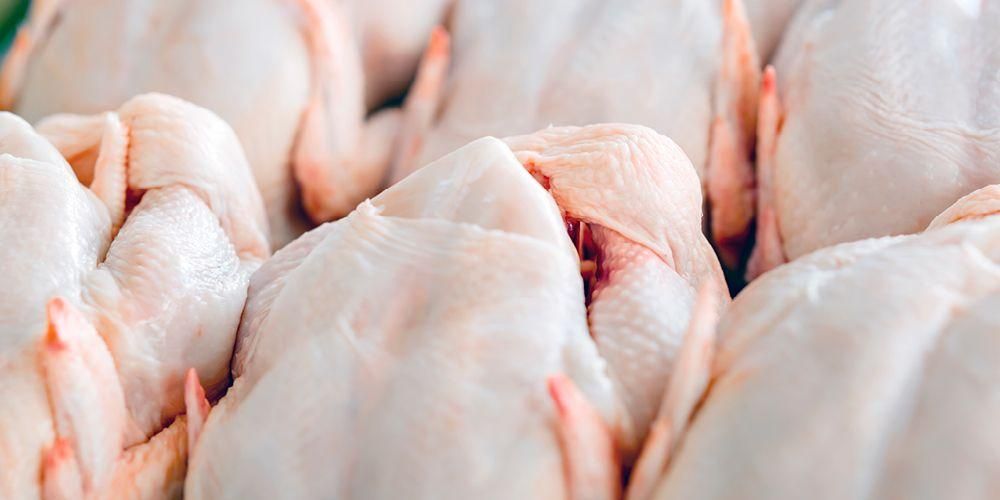 了解一系列重要的禽流感预防措施