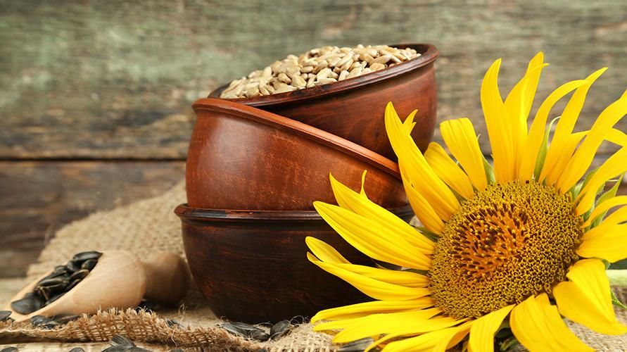 Mayroong maraming nutritional content, ito ang mga benepisyo ng sunflower seeds para sa kalusugan