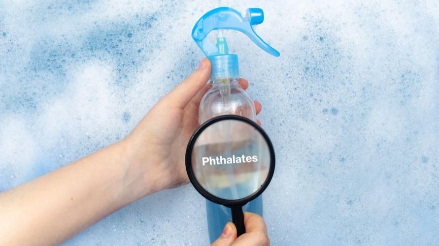Farerne ved phthalater, der lurer i vores daglige liv